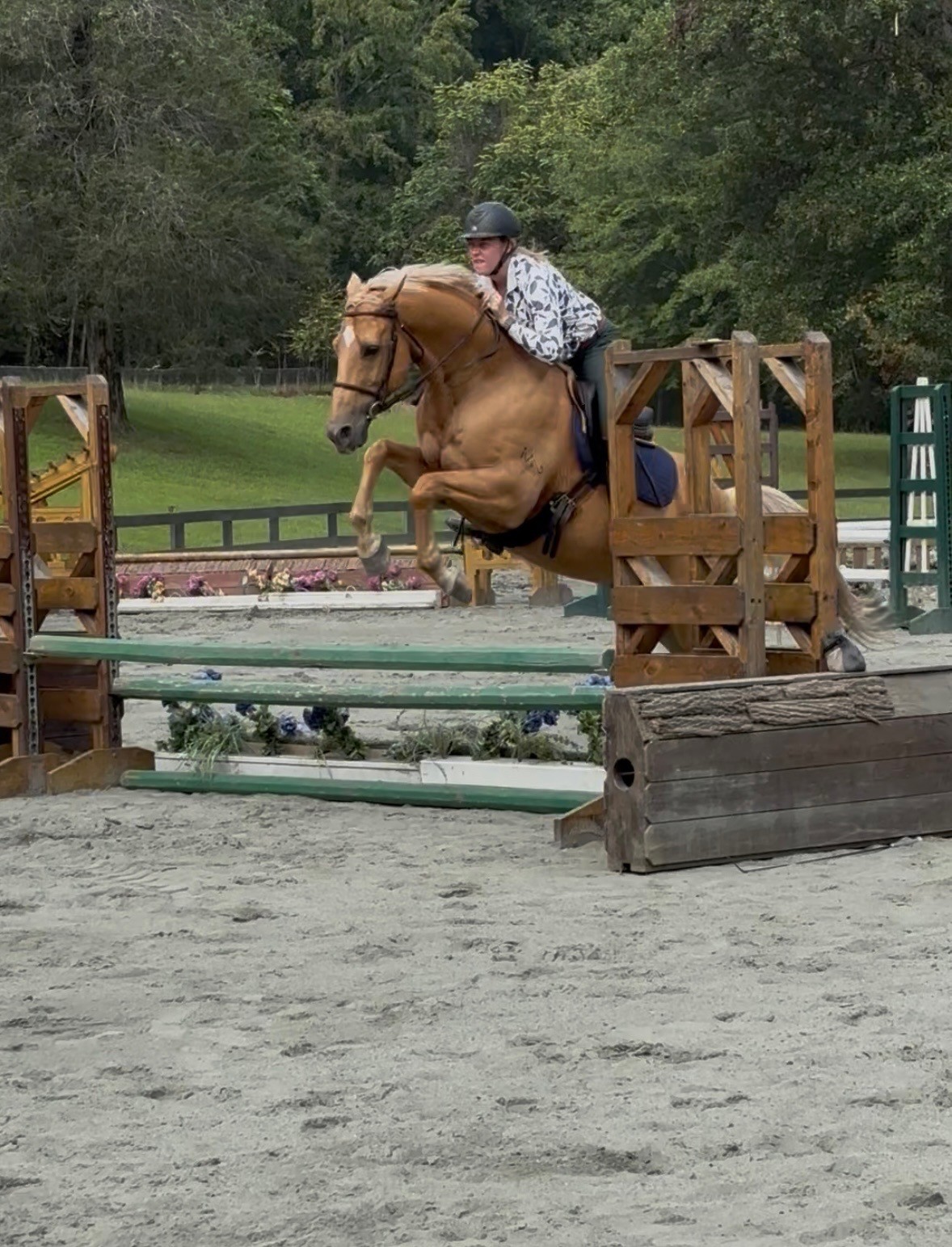 Professional Horseback Riding Instruction